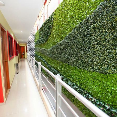 Hotel Lira - Solo Adultos Mexico City Luaran gambar